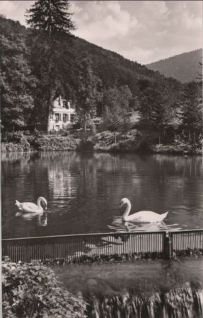 Badenweiler - Bergmannsruhe - ca. 1960 Badenweiler - Bergmannsruhe - ca. 1960