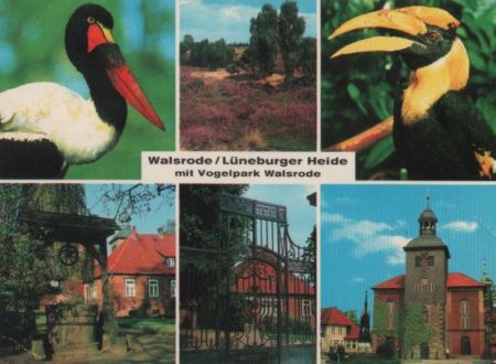 Walsrode - Vogelpark - ca. 1985 Walsrode - Vogelpark - ca. 1985