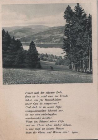 Waldlandschaft am See - ca. 1935 Waldlandschaft am See - ca. 1935
