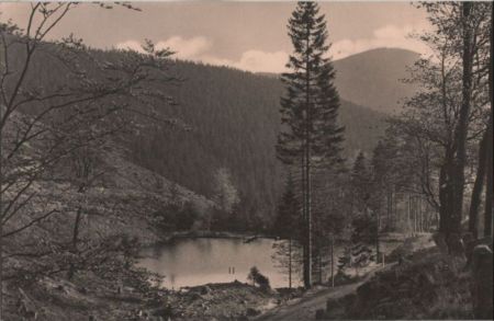Oberhof - Pfanntalsteich - 1962 Oberhof - Pfanntalsteich - 1962