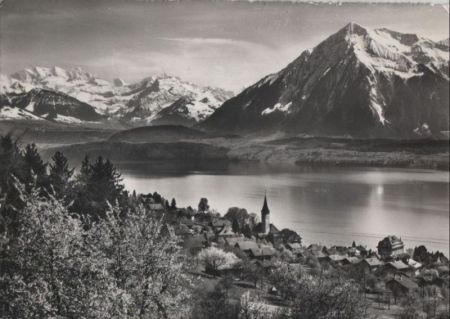 Schweiz - Hilterfingen - Blümlisalp-Niesen - 1961 Schweiz - Hilterfingen - Blümlisalp-Niesen - 1961