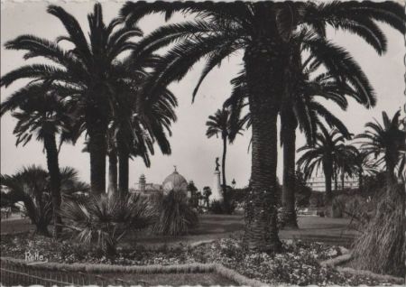 Frankreich - Nizza - Palmiers aux Jardins Albert 1 - 1943 Frankreich - Nizza - Palmiers aux Jardins Albert 1 - 1943