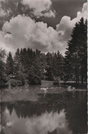Bad Steben - Kurpark - Am Weiher - 1953 Bad Steben - Kurpark - Am Weiher - 1953