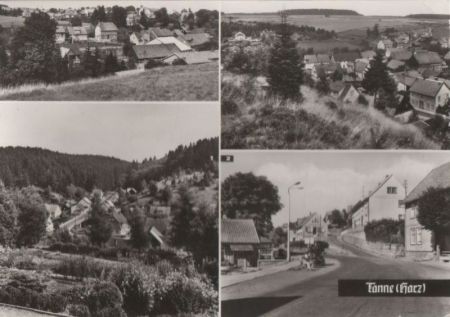 Tanne - u.a. Bodetalstraße - 1983 Tanne - u.a. Bodetalstraße - 1983