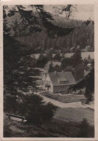 Willingen-Stryck - Haus Friederike - 1955 Willingen-Stryck - Haus Friederike - 1955