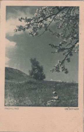 Frühling auf der Wiese Frühling auf der Wiese