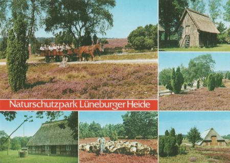 Lüneburger Heide - ca. 1995 Lüneburger Heide - ca. 1995