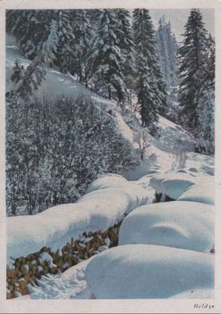 Winterlandschaft im Wald - ca. 1970 Winterlandschaft im Wald - ca. 1970