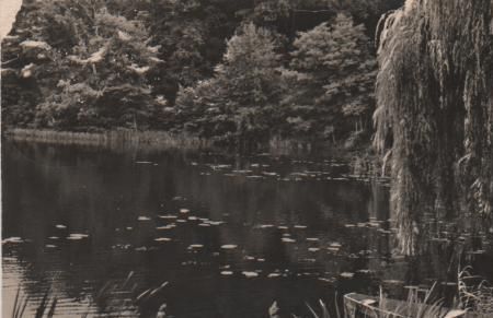 Tornow - Teupitz-See - 1961 Tornow - Teupitz-See - 1961