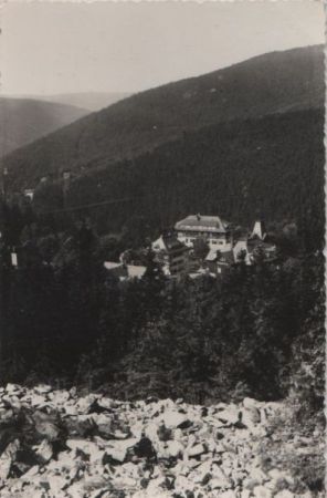 Altenberg-Bärenfels - Blick vom Spitzberg - 1966 Altenberg-Bärenfels - Blick vom Spitzberg - 1966