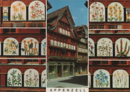 Schweiz - Appenzell - Löwengarantie - 1981 Schweiz - Appenzell - Löwengarantie - 1981