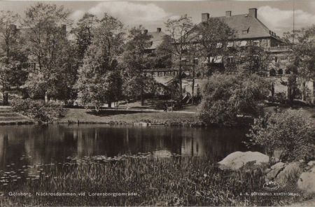 Schweden - Göteborg - Näckrosdammen vid Lorensbergsomradet - ca. 1960 Schweden - Göteborg - Näckrosdammen vid Lorensbergsomradet - ca. 1960