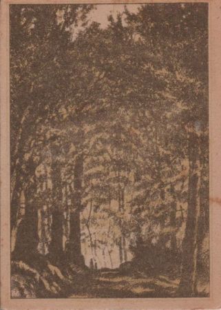 Gera - Hainberg - ca. 1935 Gera - Hainberg - ca. 1935