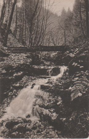Zwingenberg - Wolfsschlucht - 1907 Zwingenberg - Wolfsschlucht - 1907