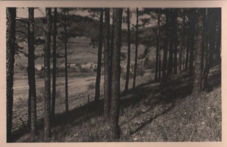 Sachsenbrunn - 1961 Sachsenbrunn - 1961