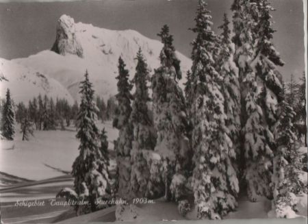 Österreich - Tauplitzalm - Schigebiet - 1969 Österreich - Tauplitzalm - Schigebiet - 1969