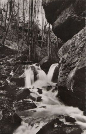 Zwingenberg - Partie in der Wolfsschlucht - ca. 1960 Zwingenberg - Partie in der Wolfsschlucht - ca. 1960