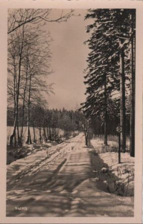 Verschneiter Waldweg - 1957 Verschneiter Waldweg - 1957