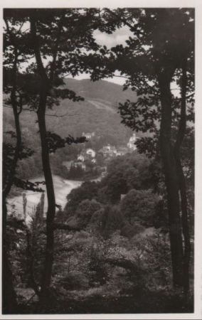 Schlangenbad - Blick vom Süden - ca. 1955 Schlangenbad - Blick vom Süden - ca. 1955