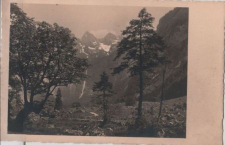Bäume vor Hochgebirge Bäume vor Hochgebirge