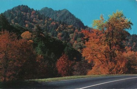 USA - Great-Smoky-Mountains-Nationalpark - 1959 USA - Great-Smoky-Mountains-Nationalpark - 1959