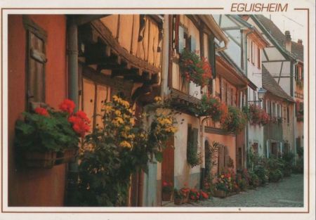 Frankreich - Eguisheim - Les rempants fleurs - 2000 Frankreich - Eguisheim - Les rempants fleurs - 2000
