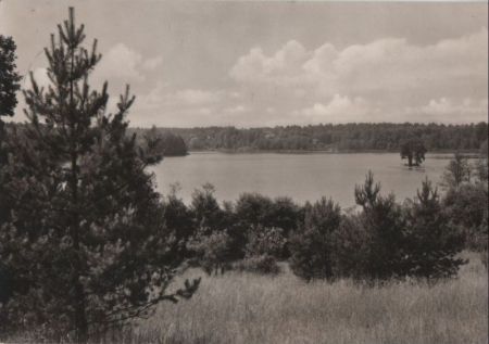 Stechlin-Neuglobsow - Am Dagowsee - 1974 Stechlin-Neuglobsow - Am Dagowsee - 1974