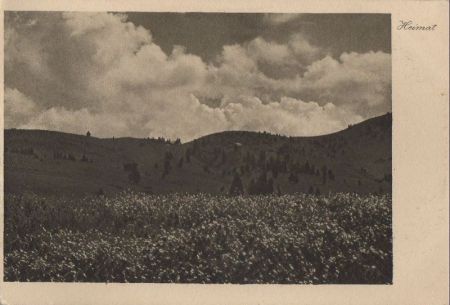Schweiz - Schiers - Stels - ca. 1950 Schweiz - Schiers - Stels - ca. 1950