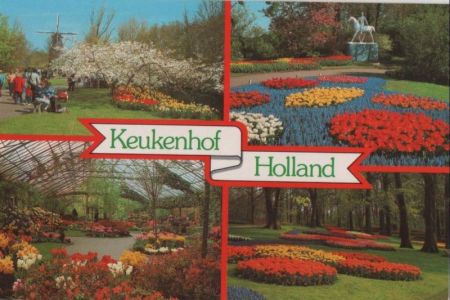 Niederlande - Holland - Keukenhof - ca. 1985 Niederlande - Holland - Keukenhof - ca. 1985