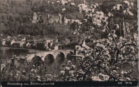 Heidelberg - im Blütenschmuck - 1961 Heidelberg - im Blütenschmuck - 1961