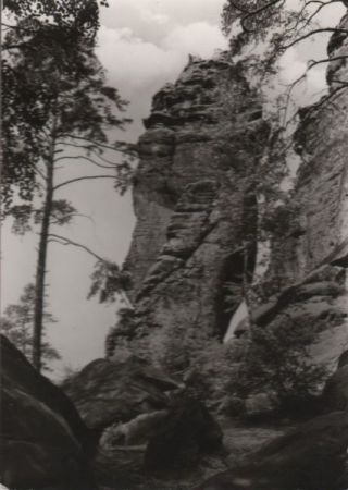 Gohrisch - Zwergfels am Gohrischstein - 1978 Gohrisch - Zwergfels am Gohrischstein - 1978