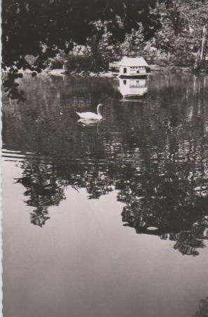 Bad Driburg - Kurpark - ca. 1955 Bad Driburg - Kurpark - ca. 1955