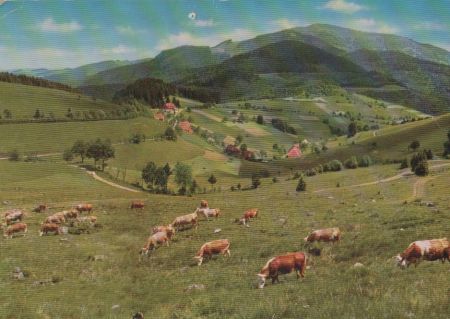 Schwarzwald - südl. Hochschwarzwald - ca. 1980 Schwarzwald - südl. Hochschwarzwald - ca. 1980