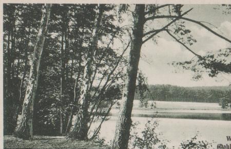 Torgau - Dahlender Heide - Waldteich - ca. 1955 Torgau - Dahlender Heide - Waldteich - ca. 1955
