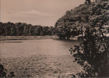 Reuth - Esprich Naturschutzgebiet - 1975 Reuth - Esprich Naturschutzgebiet - 1975