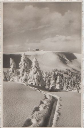 Feldberg / Schwarzw. Feldbergturm in Pulverschnee - ca. 1955 Feldberg / Schwarzw. Feldbergturm in Pulverschnee - ca. 1955