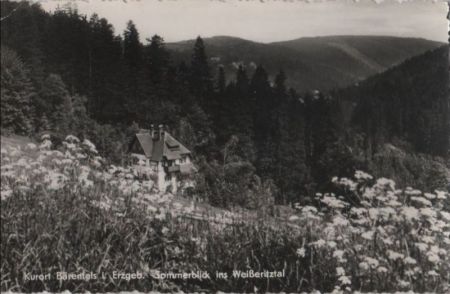 Altenberg-Bärenfels - Sommerblick ins Weißeritztal - 1960 Altenberg-Bärenfels - Sommerblick ins Weißeritztal - 1960