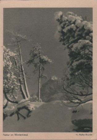 Natur im Winterkleid - ca. 1950 Natur im Winterkleid - ca. 1950