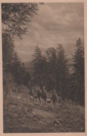 Beerensammler - ca. 1935 Beerensammler - ca. 1935