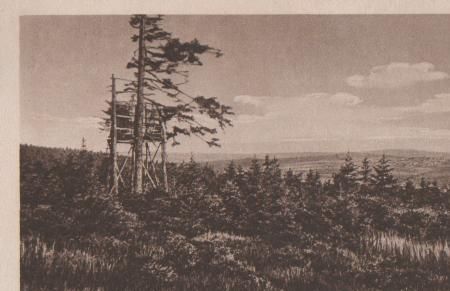 Braunlage - Blick vom Ebersberg auf Hohegeiss - ca. 1935 Braunlage - Blick vom Ebersberg auf Hohegeiss - ca. 1935