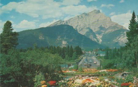 Kanada - Canadian Rockies - Alpine Gardens - ca. 1965 Kanada - Canadian Rockies - Alpine Gardens - ca. 1965