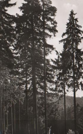 Wilhelmsfeld bei Heidelberg - 1971 Wilhelmsfeld bei Heidelberg - 1971