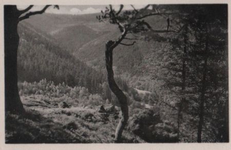 Tabarz - Blick vom Fuchsstein - ca. 1950 Tabarz - Blick vom Fuchsstein - ca. 1950