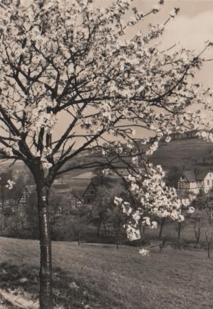 Herzliche Pfingstgrüße - 1970 Herzliche Pfingstgrüße - 1970