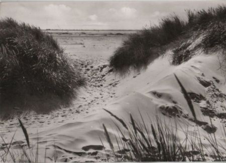 Amrum - Dünen vor dem Kniepsand - 1967 Amrum - Dünen vor dem Kniepsand - 1967