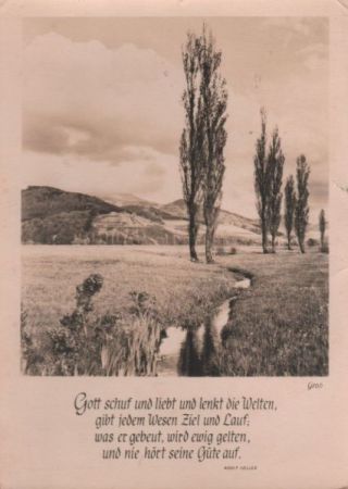 Bäume am Bach - 1964 Bäume am Bach - 1964