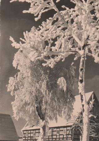 Herzliche Weihnachtsgrüße - 1961 Herzliche Weihnachtsgrüße - 1961