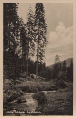 Thüringen - Der Waldbach - 1957 Thüringen - Der Waldbach - 1957