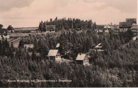 Altenberg-Oberbärenburg - Waldidylle - 1962 Altenberg-Oberbärenburg - Waldidylle - 1962