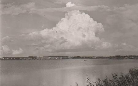 Bad Buchau - Federsee bei Buchau - ca. 1955 Bad Buchau - Federsee bei Buchau - ca. 1955